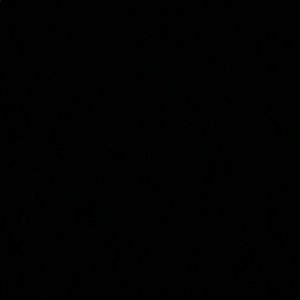 Meet your Posher, Jacelynn